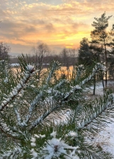 //shatura-hlam.ru/upload_images/html/max/html_m_20428_13f002f0cc7309d6adb19bff5c721dc328.jpeg 