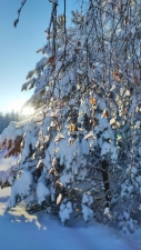 //shatura-hlam.ru/upload_images/html/max/html_m_20428_a184320247e9de5a11568353c95cba9658.jpeg 