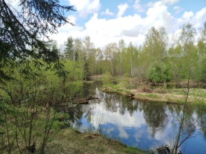 //shatura-hlam.ru/upload_images/html/max/html_m_20885_bab4233f935194f4782705983acf6b0166.jpeg 