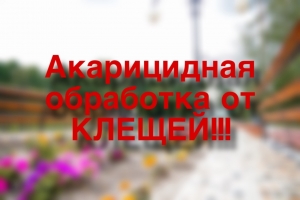 //shatura-hlam.ru/upload_images/html/max/html_m_21351_8ee2cb7cf07f0aabe00a54adaf0f8a5f32.jpeg 