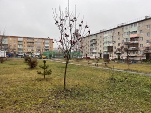 //shatura-hlam.ru/upload_images/html/max/html_m_21682_933e5f1937496b841498b450ed61829185.jpeg 