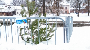 //shatura-hlam.ru/upload_images/html/max/html_m_21869_0cf89135163e861a00238c73160f155352.jpeg 