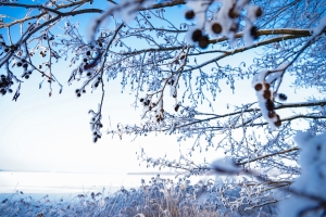 //shatura-hlam.ru/upload_images/html/max/html_m_21919_51cf4a7ce3b883f282771d494115805684.jpeg 
