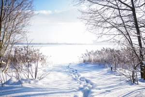 //shatura-hlam.ru/upload_images/html/max/html_m_21919_b83312b24946949e456ee7090a636c8c99.jpeg 