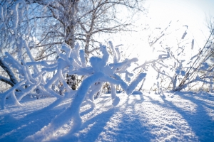 //shatura-hlam.ru/upload_images/html/max/html_m_21919_e7e5ea7455d5767057c7c85b3967a48b11.jpeg 