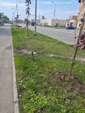 //shatura-hlam.ru/upload_images/html/max/html_m_22601_eea8c17ba8923b2d8ffe2ec9d9ae08cd13.jpeg 