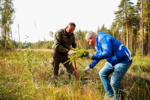 //shatura-hlam.ru/upload_images/html/max/html_m_22871_44d2d8538e1f4d2f3b0e50b8a8266cde29.jpeg 