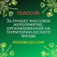 //shatura-hlam.ru/upload_images/html/max/html_m_7013_b0d52de48ed3551903682792d272e51f10.jpeg 