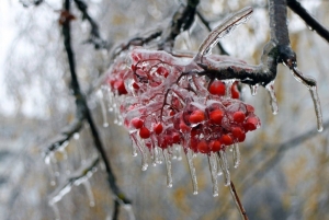 //shatura-hlam.ru/upload_images/html/max/html_m_9641_0e2ff3882f66c41a3a7f59500f76bba187.jpeg 